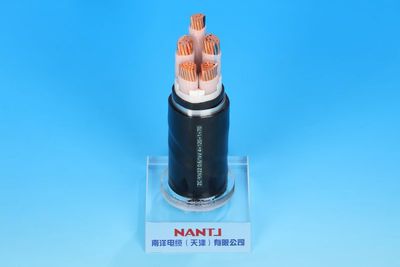 低压阻燃铠装电缆